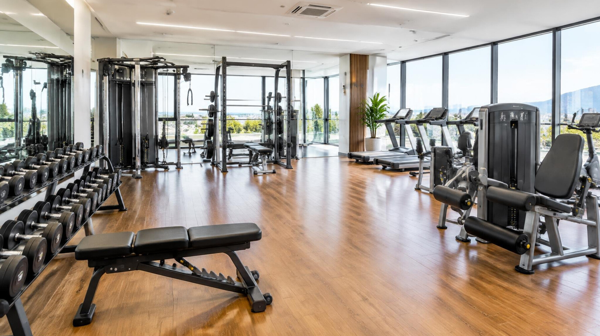 Modern bright gym interior with weight machines and free weights